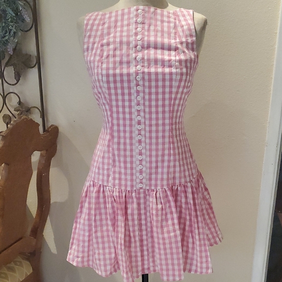 Petal & Pup Pink Checkered Mini Dress - Picture 1 of 14